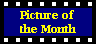 Picture of the Month