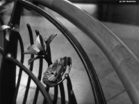 Click here to see full size